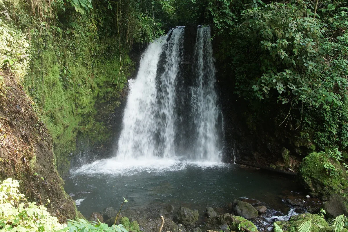 Hostel SantaFe & Ceiba Hostel — La Fortuna Hostel in Costa Rica