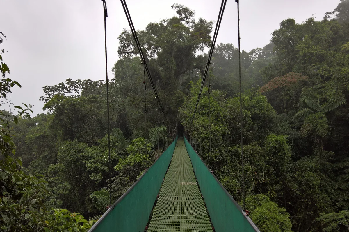 Monteverde Monkey Hostel & Cabinas El Pueblo — Monteverde Hostel in Costa Rica